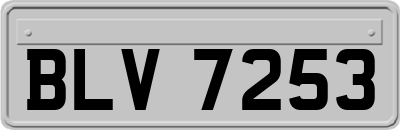 BLV7253
