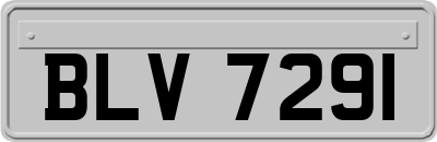 BLV7291
