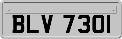 BLV7301