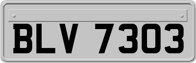BLV7303