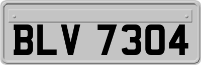 BLV7304