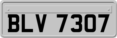 BLV7307