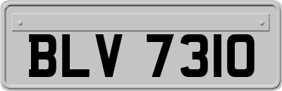 BLV7310
