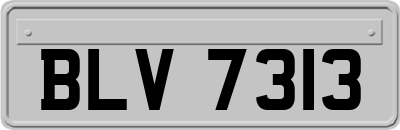 BLV7313