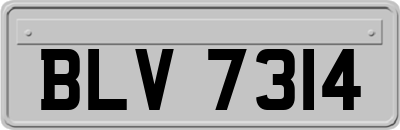 BLV7314