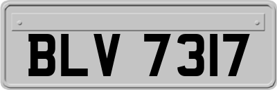 BLV7317