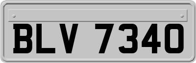 BLV7340