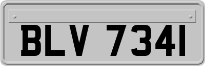BLV7341