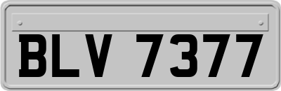 BLV7377
