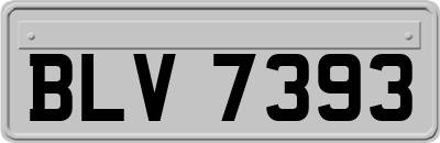 BLV7393