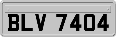 BLV7404