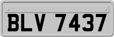 BLV7437