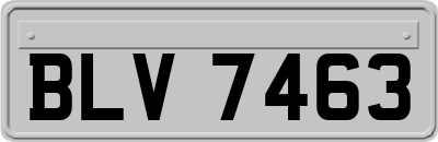 BLV7463