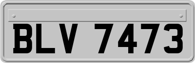 BLV7473
