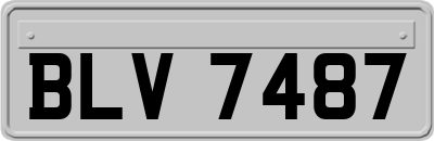 BLV7487