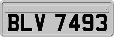 BLV7493
