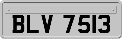 BLV7513