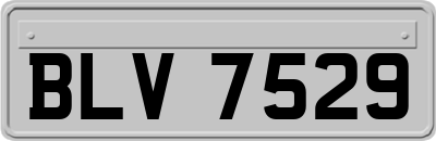 BLV7529