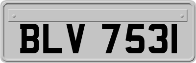 BLV7531