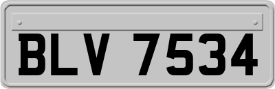 BLV7534