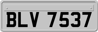 BLV7537