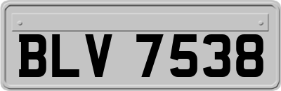 BLV7538