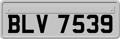 BLV7539