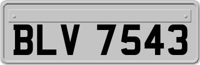 BLV7543
