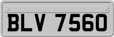 BLV7560