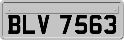 BLV7563