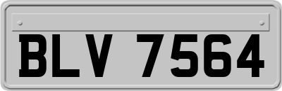 BLV7564