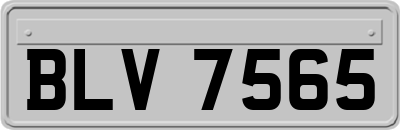 BLV7565