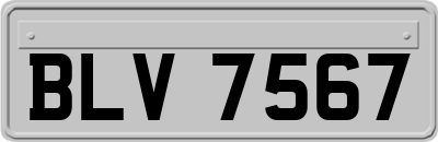 BLV7567