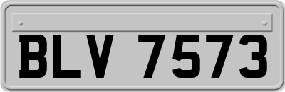 BLV7573