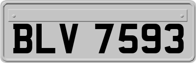 BLV7593