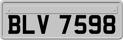 BLV7598