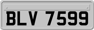 BLV7599