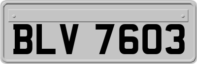 BLV7603