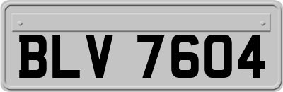 BLV7604
