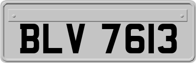 BLV7613