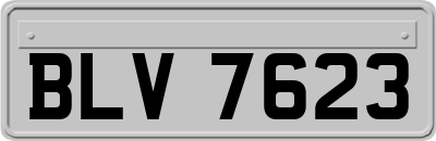BLV7623