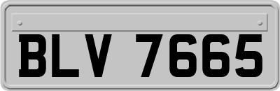 BLV7665
