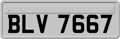 BLV7667