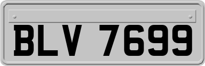 BLV7699