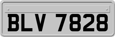 BLV7828