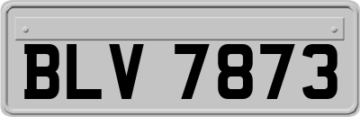BLV7873