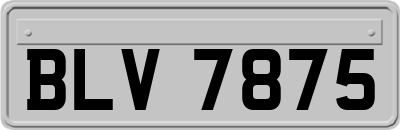 BLV7875
