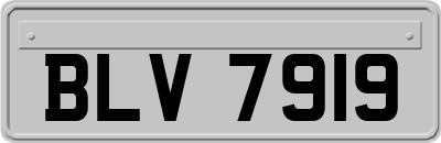 BLV7919