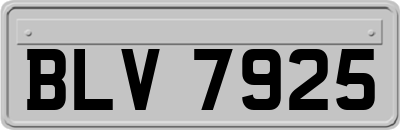 BLV7925