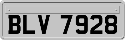 BLV7928